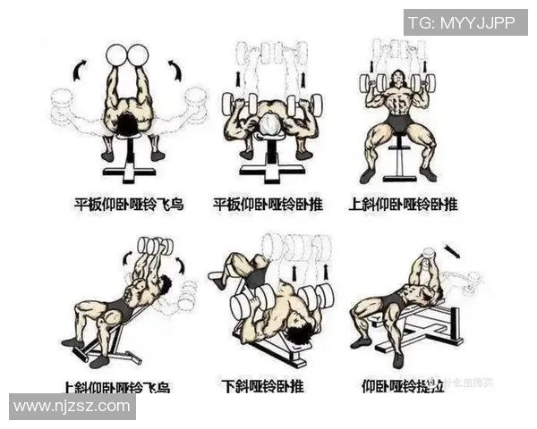 瘦胸哑铃训练指南塑造完美胸型的有效方法与技巧分享